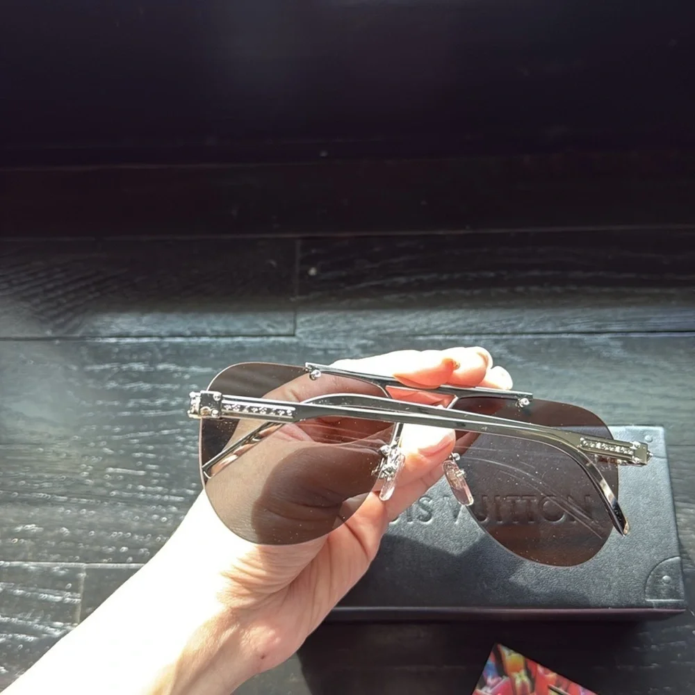 Louis Vuitton Animated Damier Ash Sunglasses